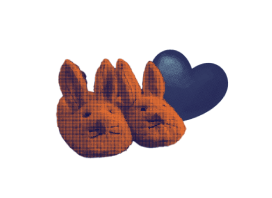 Rabbits and heart